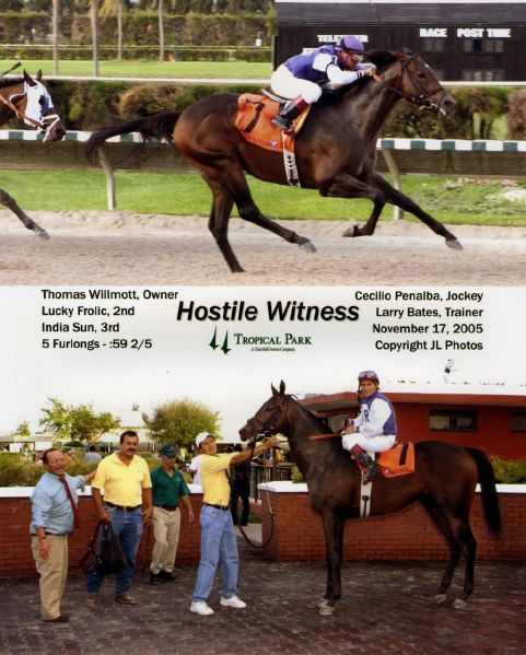 Hostile Witness 11/17/05