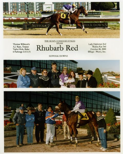 Rhubarb Red 10/28/00